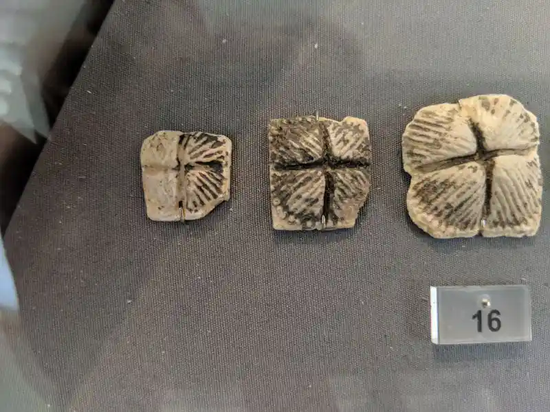 Ancient glass paste jewelry pieces including necklaces, plaques, rosettes and beads with decorative cross patterns